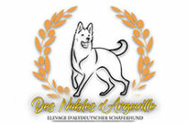 Elevage des Nobles d'Argeville – Altdeutscher Schäferhund